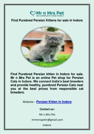 Find Purebred Persian Kittens for sale in Indore