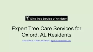 Expert Tree Care Services for Oxford, AL Residents