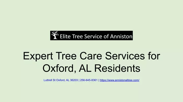 expert tree care services for oxford al residents