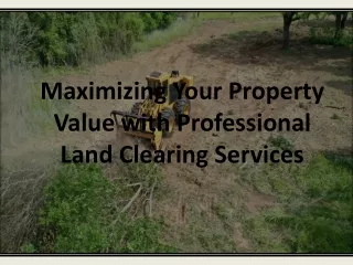 Maximizing Your Property Value with Professional Land Clearing