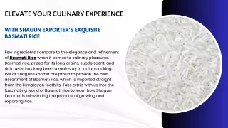 Elevate Your Culinary Experience with Shagun Exporters Exquisite Basmati Rice