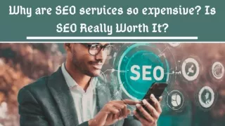 Why are SEO services so expensive? Is SEO Really Worth It?