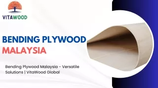 Versatile Bending Plywood Solutions in Malaysia | VitaWood Global