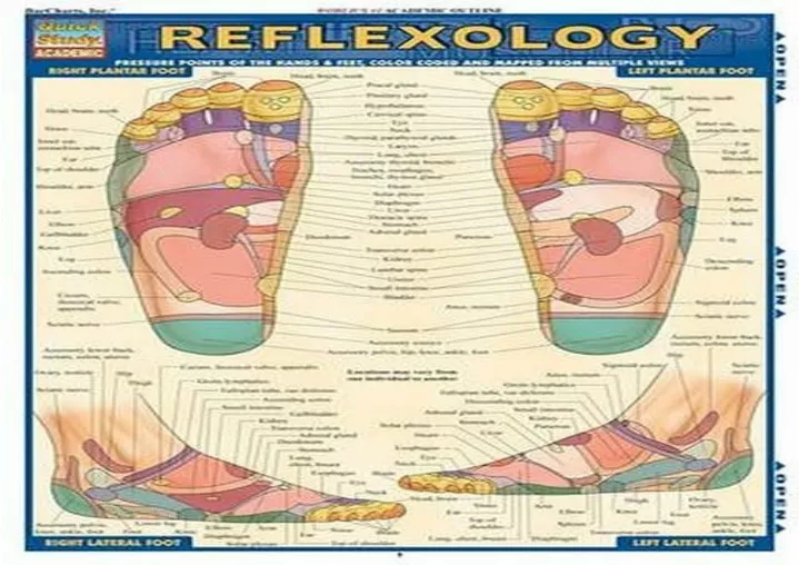 pdf read online reflexology quick study academic