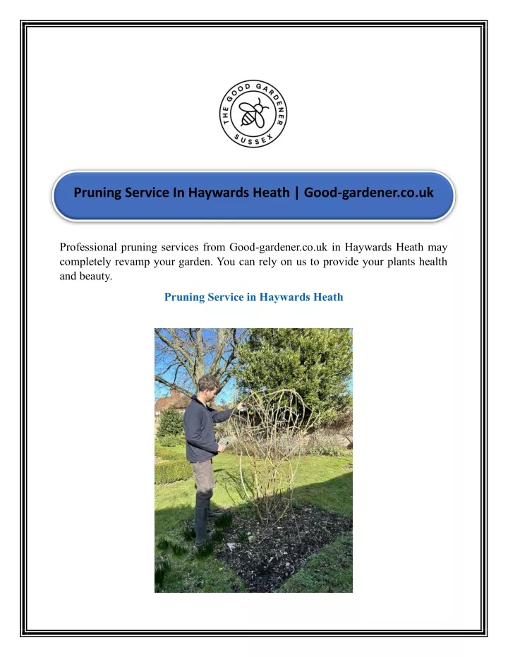 pruning service in haywards heath good gardener