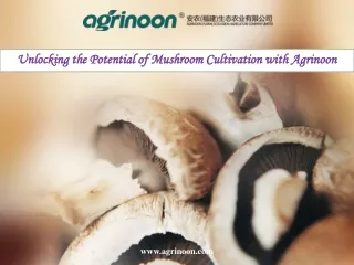 Unlocking the Potential of Mushroom Cultivation with Agrinoon
