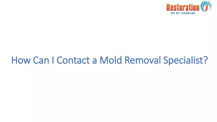 how can i contact a mold removal specialist