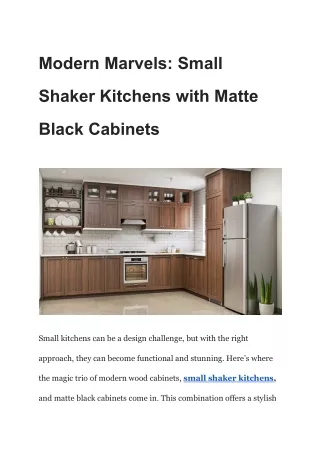 Modern Marvels_ Small Shaker Kitchens with Matte Black Cabinets·