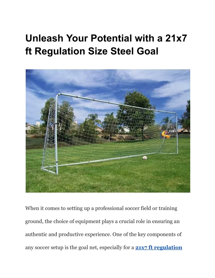 unleash your potential with a 21x7 ft regulation