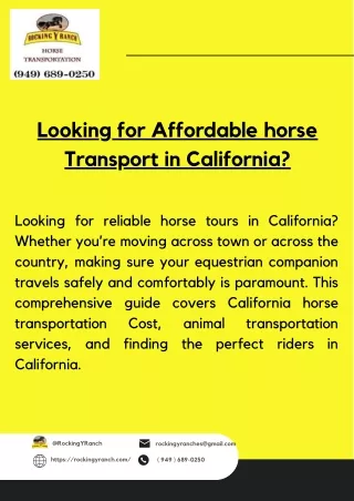 Affordable horse Transport in California | Rocking Y Ranch