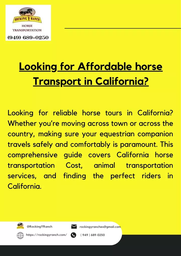 looking for affordable horse transport