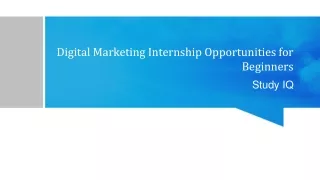 Digital Marketing Internship Opportunities for Beginners