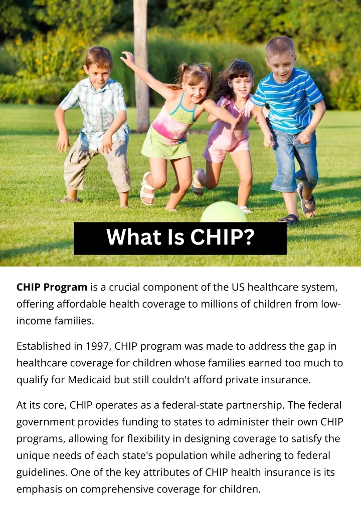 what is chip