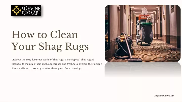 how to clean your shag rugs