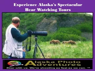 Experience Alaska's Spectacular Bear Watching Tours