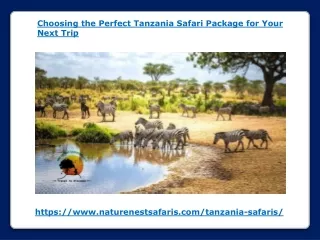 Choosing the Perfect Tanzania Safari Package for Your Next Trip
