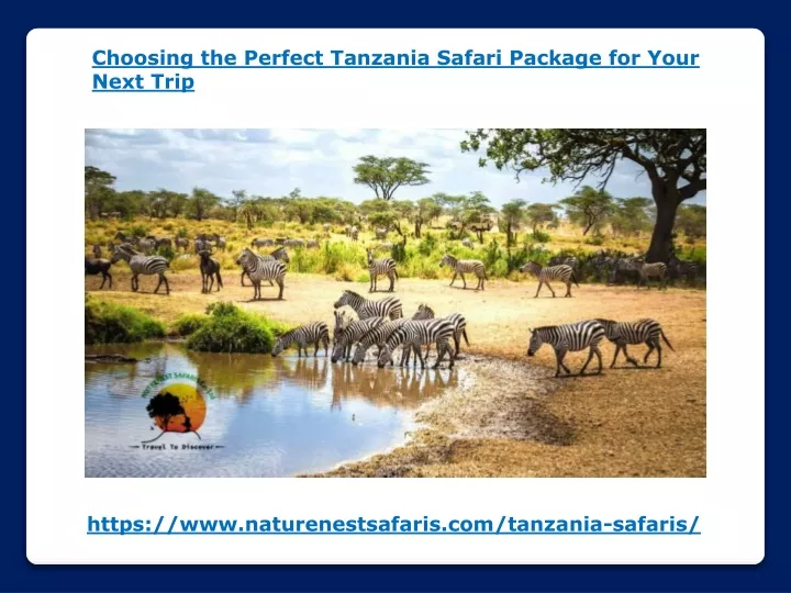choosing the perfect tanzania safari package