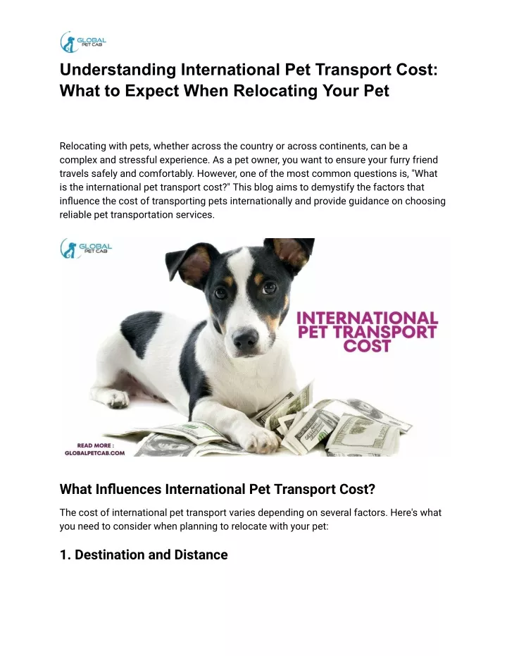 understanding international pet transport cost