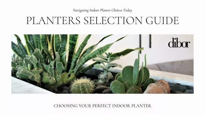 navigating indoor planter choices today