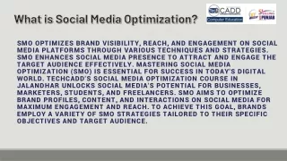 Best Social Media Optimization Course in Jalandhar