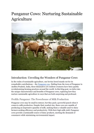 Punganur Cows_ Nurturing Sustainable Agriculture