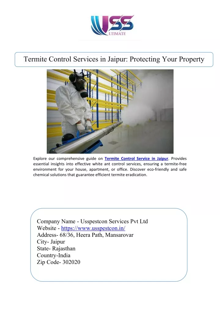 termite control services in jaipur protecting