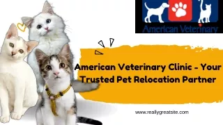 American Veterinary Clinic - Pet relocation