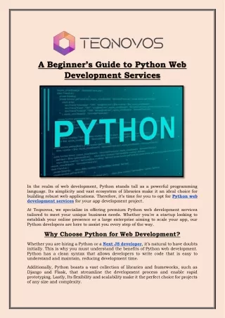 A Beginner’s Guide to Python Web Development Services