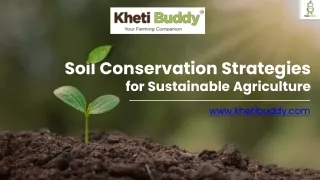 Soil Conservation Strategies for Sustainable Agriculture
