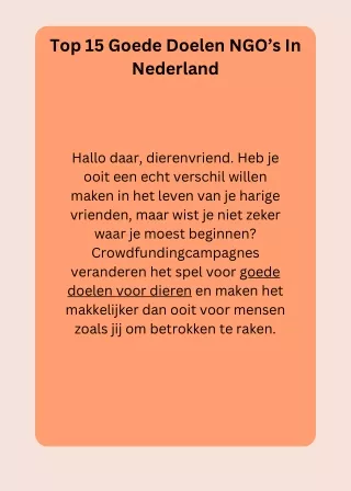 Top 15 Goede Doelen NGO’s In Nederland.