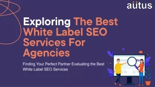 Mastering SEO Partnerships The Best White Label SEO Services for Agencies