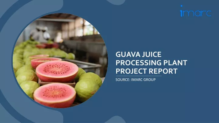 guava juice processing plant project report