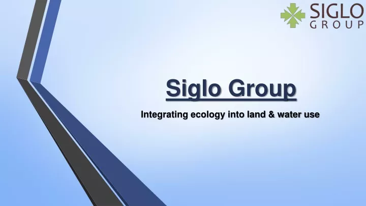 siglo group