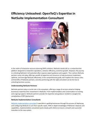 Efficiency Unleashed: OpenTeQ's Expertise in NetSuite Implementation Consultant