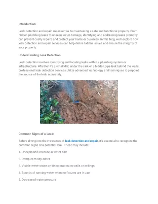 How Leak Detection and Repair Can Help Define Hidden Issues
