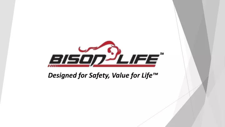 designed for safety value for life