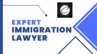 Expert Immigration Lawyer Florida
