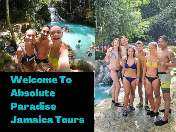 welcome to absolute paradise jamaica tours