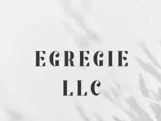Egregie LLC pdf