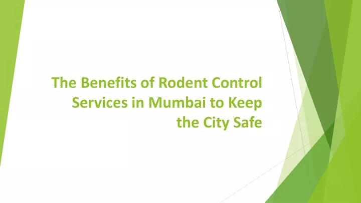 the benefits of rodent control services in mumbai to keep the city safe