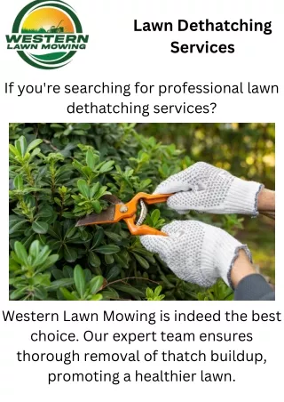 Lawn Dethatching Services