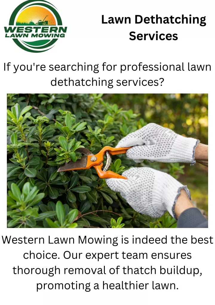 lawn dethatching services