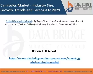 camisoles market industry size growth trends
