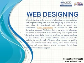 Best Web Designing Course in Jalandhar