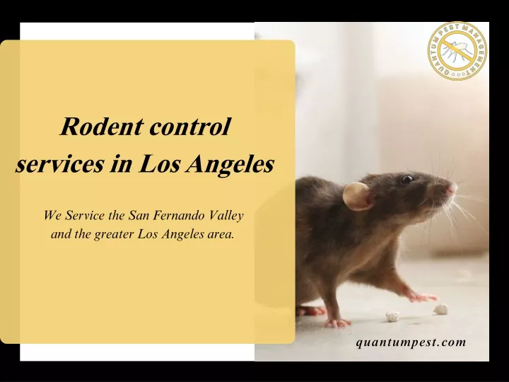 rodent control services in los angeles