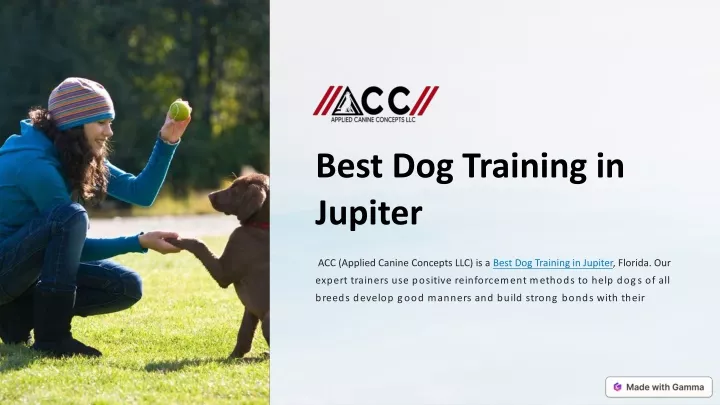 best dog training in jupiter