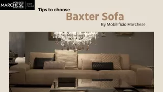 Tips to choose Baxter Sofa