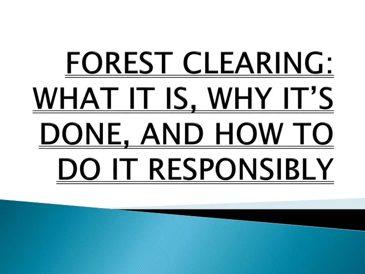 forest clearing what it is why it s done and how to do it responsibly