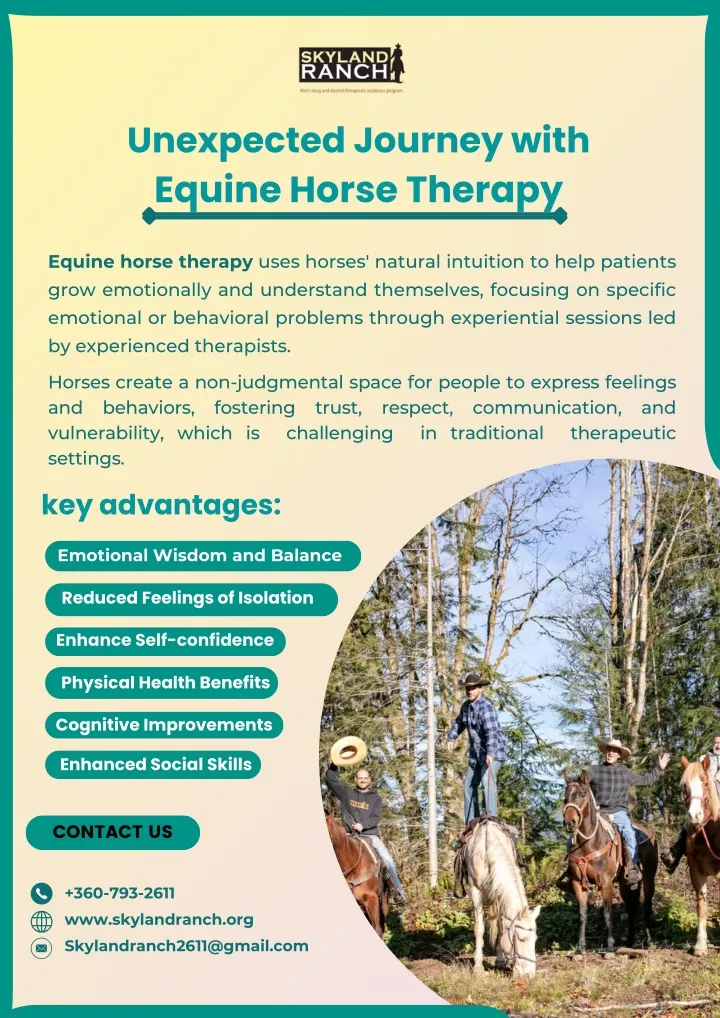 unexpected journey with equine horse therapy