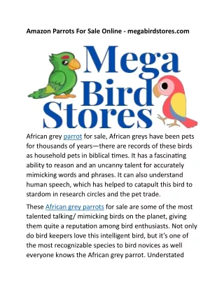 Amazon Parrots For Sale Online - megabirdstores.com